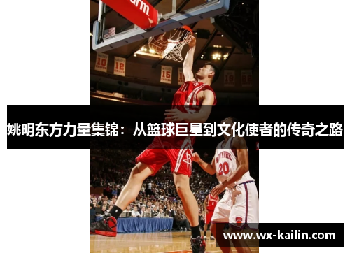 姚明东方力量集锦：从篮球巨星到文化使者的传奇之路
